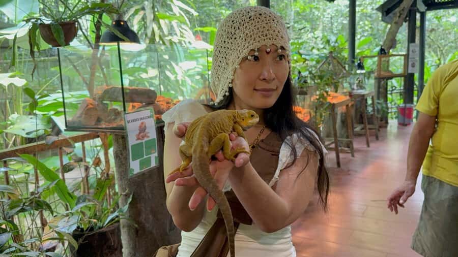 From Kuala Lumpur: Kuala Gandah Elephant Sanctuary Day Trip - Who This Day Trip Suits Best (and Who Should Skip It)