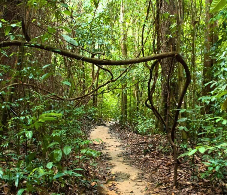 From Kuala Lumpur: Taman Negara National Park Private Tour - Getting to Kuala Tahan: Your Rainforest Gateway Village