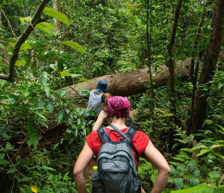 From Kuala Lumpur: Taman Negara National Park Private Tour - Tahan River Motorboat Cruise: The Best Way to Read the Ecosystem
