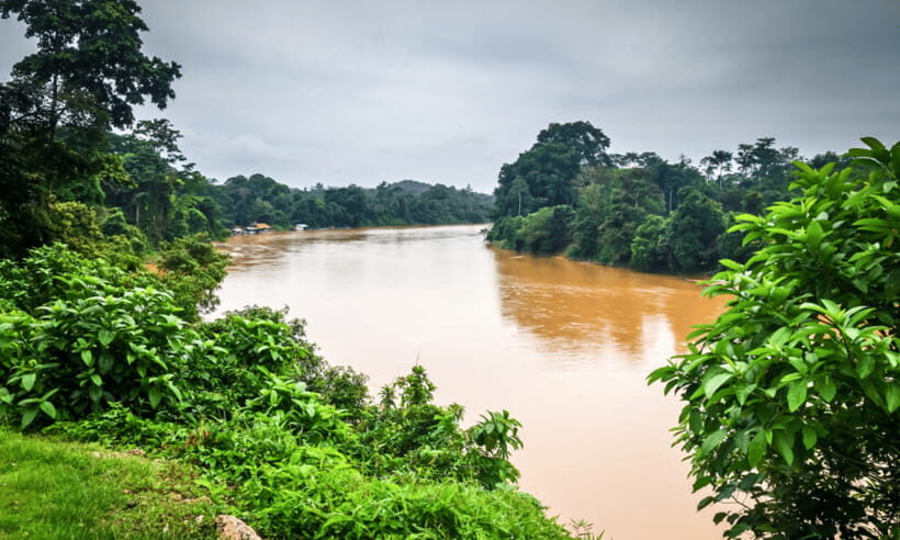 From Kuala Lumpur: Taman Negara National Park Private Tour - What to Pack for a Rainforest Day (You’ll Feel Prepared)