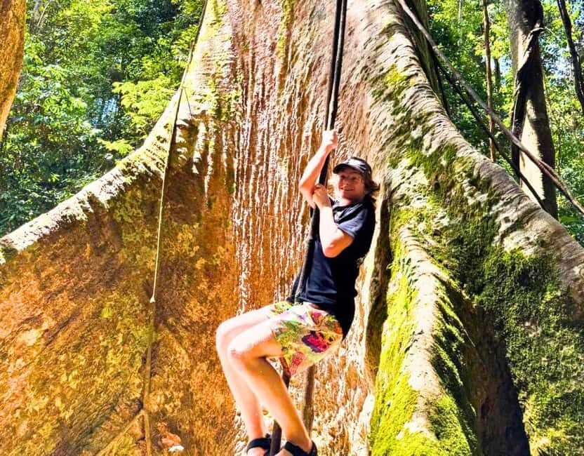From Kuala Lumpur: Taman Negara National Park Private Tour - Canopy Walkway Plans: Open Views or a Short Jungle Hike