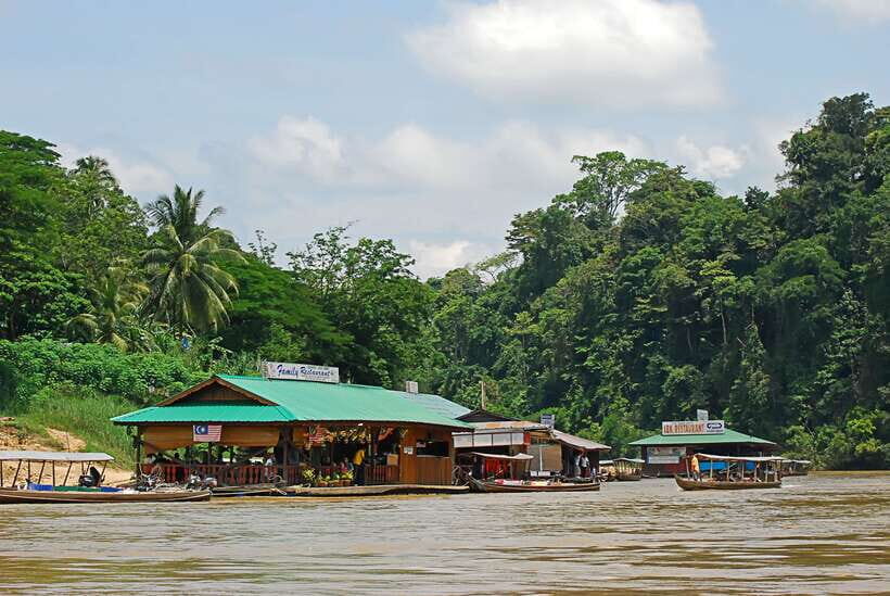 From Kuala Lumpur: Taman Negara National Park Trek Day Tour - Key things that make this tour worth your time