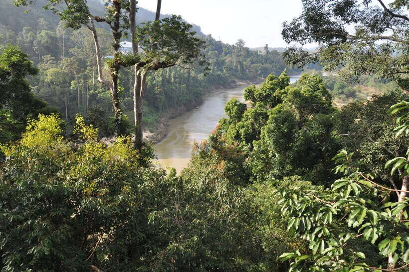 From Kuala Lumpur: Taman Negara National Park Trek Day Tour - Leaving Kuala Lumpur for Taman Negara: what 15 hours really means