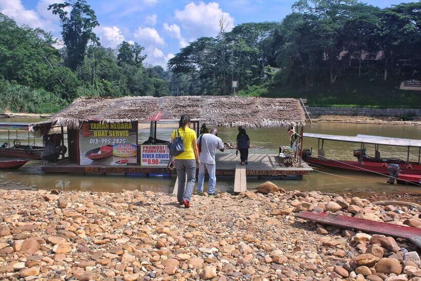 From Kuala Lumpur: Taman Negara National Park Trek Day Tour - Teresek Hill (or Indah Hill) hike: views cost sweat
