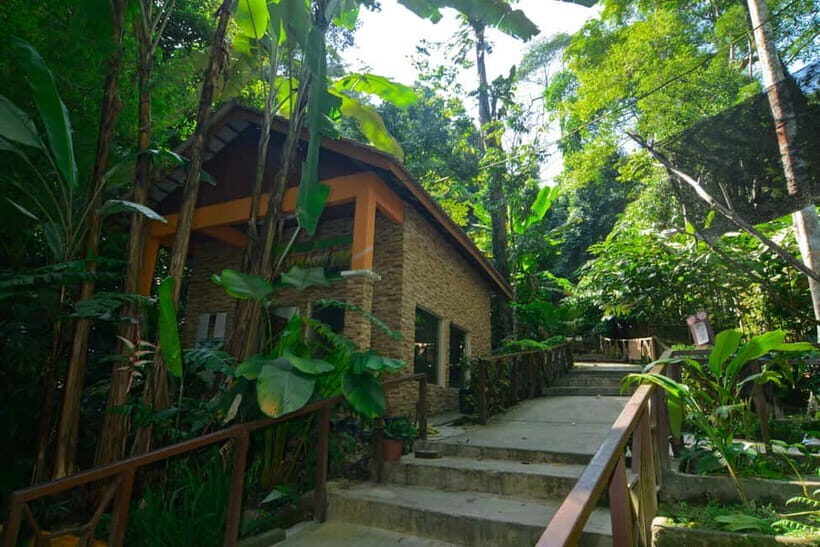 From Kuala Lumpur: Taman Negara Private Tour - Orang Asli Village Visit: Traditional Life and Survival Skills