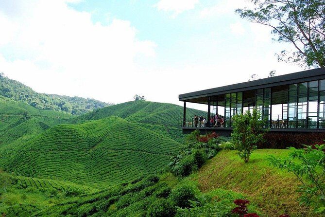 Full-day Cameron Highlands Day Trip from Kuala Lumpur - Sam Poh Temple: Views Over Brinchang Without Needing More Time