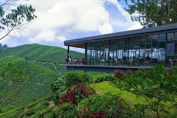 Full Day Cameron Highlands Nature Tour - Up Into the Highlands: What This Day Trip Really Feels Like
