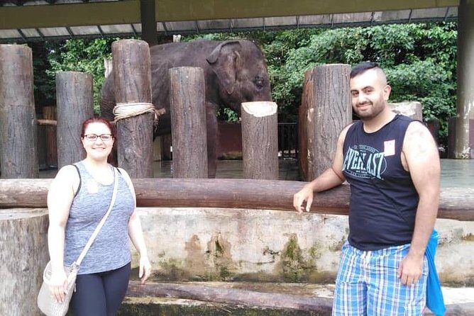 Full Day Elephant Sanctuary Tour with a Free Batu Caves Visit - Who this tour suits best (and who may not love it)