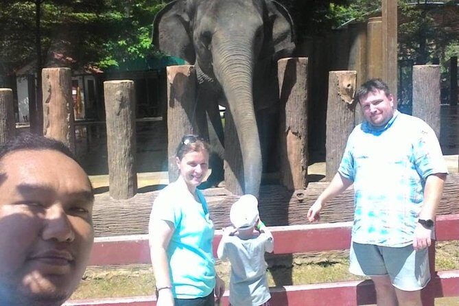 Full Day Elephant Sanctuary Tour with a Free Batu Caves Visit - Should you book this Kuala Lumpur elephant sanctuary and Batu Caves tour?