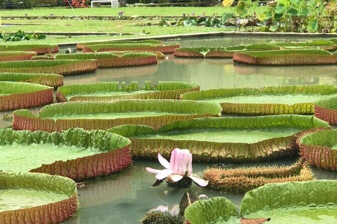Full Day Flexi Private Tour in Penang Island with Pickup - Entopia and Tropical Spice Garden: Nature Stops That Don’t Feel Like Detours