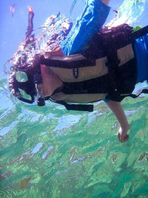 Full-Day Guided Snorkeling Tour from Kota Kinabalu - Kota Kinabalu’s DBKK Jetty meeting: the start of a smooth day