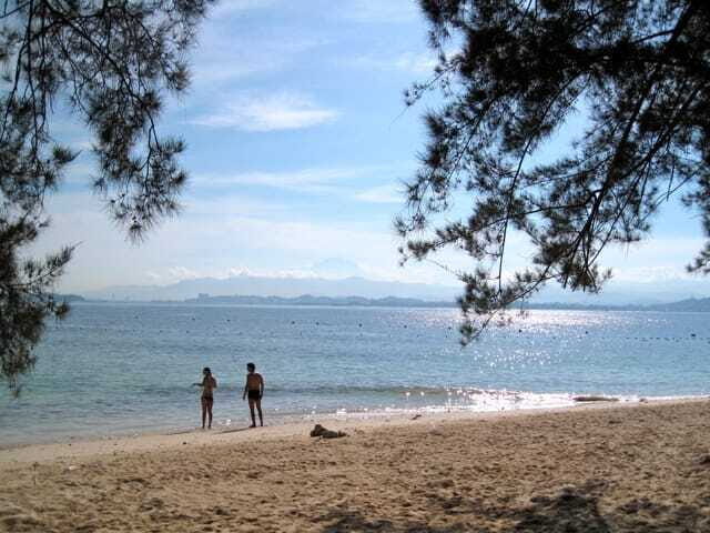 Full-Day Guided Snorkeling Tour from Kota Kinabalu - Nemo, turtles, and the big sightings: what to watch for