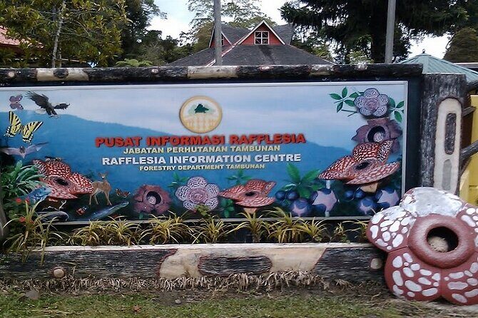 Full Day JomTour! Memorable Experience in Kota Kinabalu, Sabah - What About Lunch and Timing?