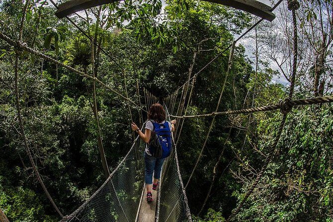 Full-Day Kinabalu Park and Poring Hot Spring Day Trip - Getting to Kinabalu Park: morning starts and what “guided trek” really means
