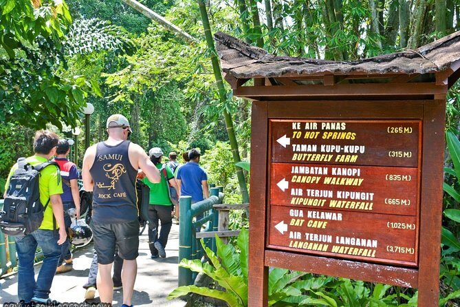 Full-Day Kinabalu Park and Poring Hot Spring Day Trip - The canopy bridge: why it’s more than a photo stop