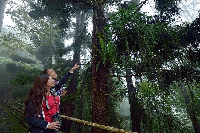 Full-Day Kinabalu Park and Poring Hot Spring Day Trip - What you’ll like at Kinabalu: the trail experience and wildlife spotting odds