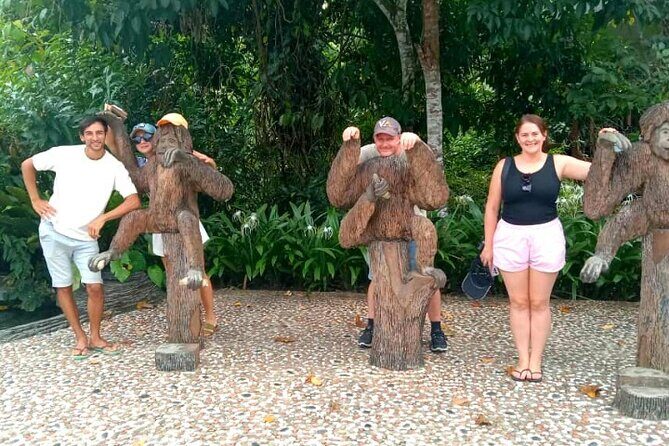 Full Day Orang Utan Sepilok, Proboscis Monkey, Sunbear, RDC - Key things that make this day special