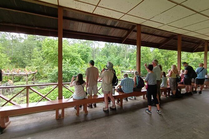 Full-Day Sepilok Orangutan and Proboscis Monkey from Sandakan or Kota Kinabalu - Price and Value: What $188 Includes (and What It Doesn’t)