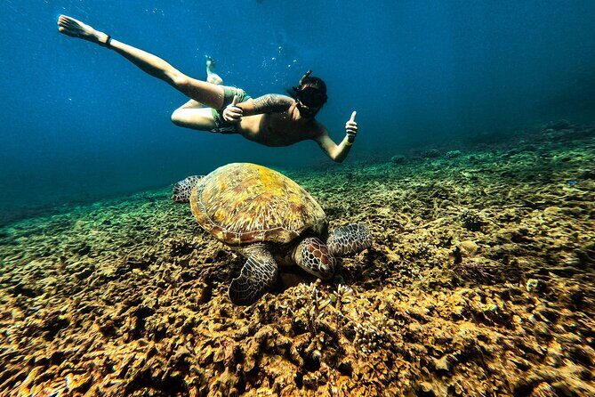 Full Day Snorkeling in Perhentian Island - Key highlights you should know first