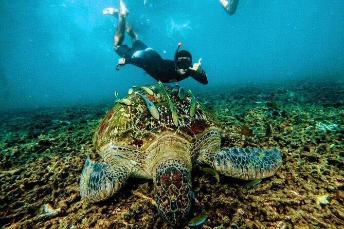 Full Day Snorkeling in Perhentian Island - How the 3-stop morning plan shapes your time and energy