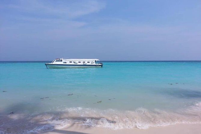 Full Day Tour in Mantanani - Mantanani in one day: three islands, wrecks, and real reef life