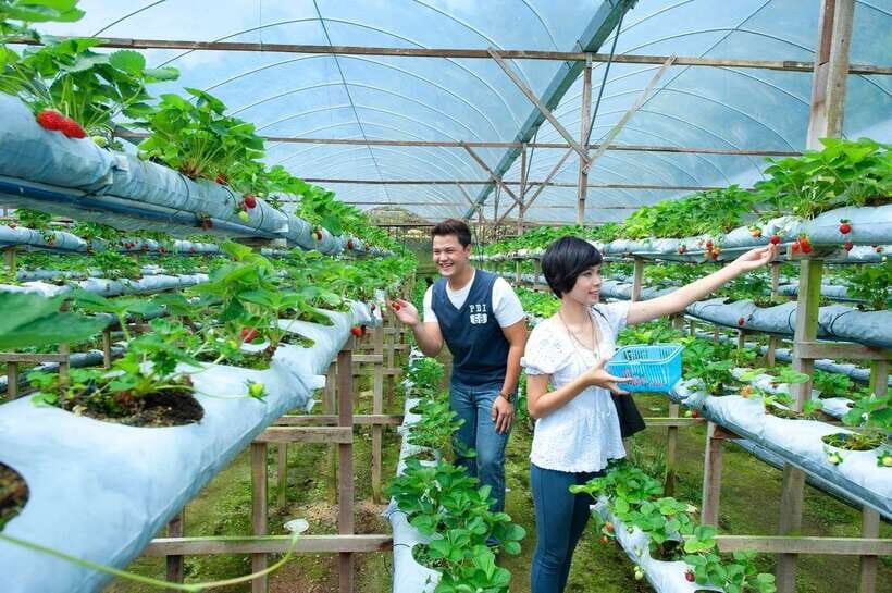 Genting Highland: Private Day Trip from Kuala Lumpur - Awana SkyWay + the Genting Skyway vibe: your best view time
