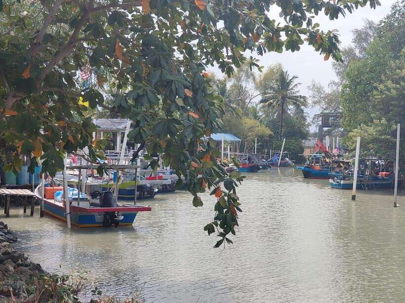 George Town: Balik Pulau Countryside Morning Cycling Tour - Who Should Book This Balik Pulau Bike Morning (and Who Should Skip)
