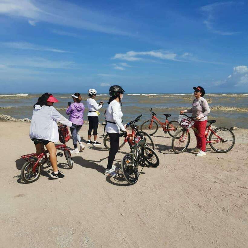 George Town: Balik Pulau Countryside Morning Cycling Tour - The Guide Factor: How Sam or Wah Turns Fields into Stories
