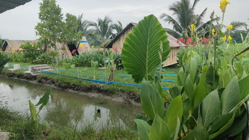 George Town: Balik Pulau Countryside Morning Cycling Tour - Price and Value: Is $47 Worth It?