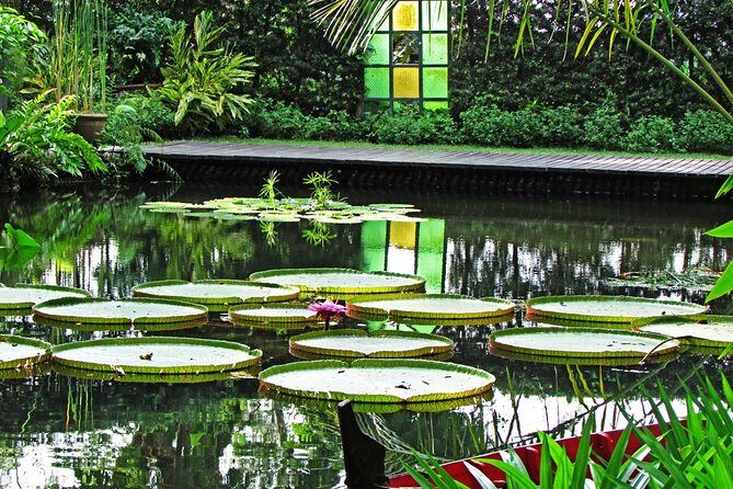 George Town Highlights & Upside Down Museum tours (4 Hours) - Price and value: what $55 buys you in real terms