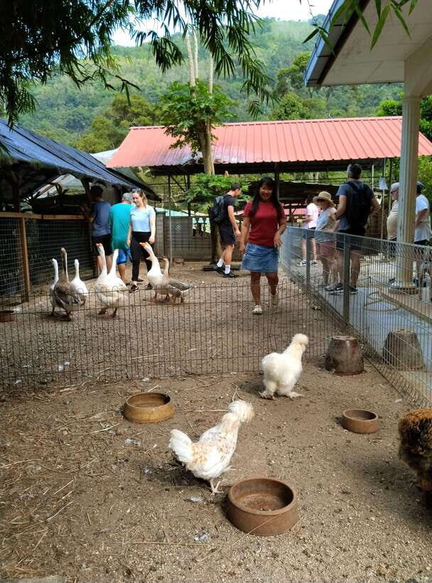George Town, Penang: Malay Countryside Cycling - Key things I’d highlight before you go