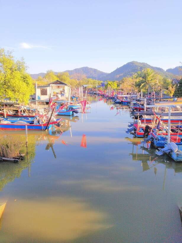George Town, Penang: Malay Countryside Cycling - The goat farm finale: animals, goat milk treats, and a memorable ending