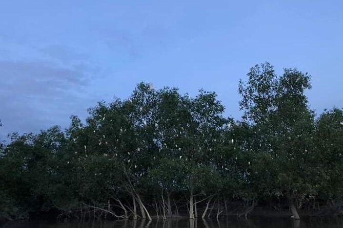 Glowing Kuala Selangor Firefly Tour - The fishing village stop: snack-smart, dinner-rational