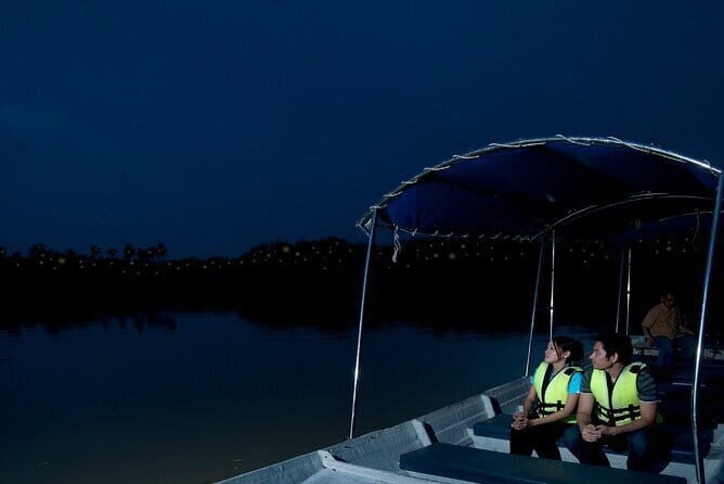 Group Tour: Kuala Selangor Firefly Blinking's including Dinner - A six-hour night plan for synchronized fireflies