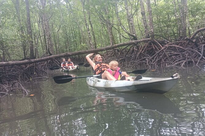 Half-day 4 Hours Kilim Mangrove Kayaking (Without hotel pickups) - Key things that make this tour work so well
