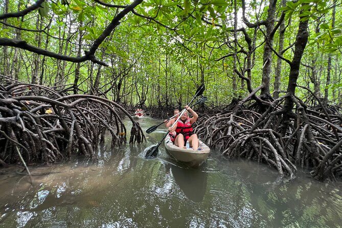 Half-Day Mangrove Kayaking in Langkawi - Kilim River Tourism Jetty: getting set up without fuss