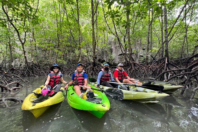 Half-Day Mangrove Kayaking in Langkawi - Price and value: why $77.57 can make sense here