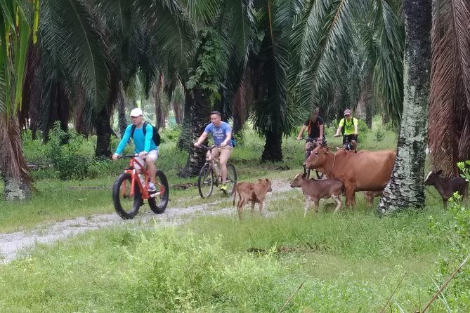 Half-Day Penang Countryside Cycling Tour - Why the Balik Pulau countryside ride feels like a real change