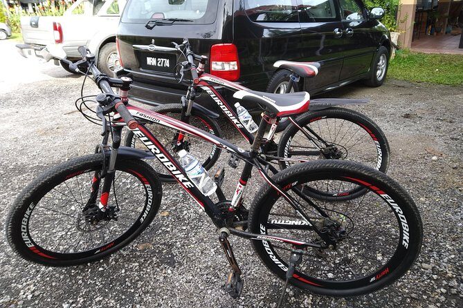 Half-Day Penang Countryside Cycling Tour - Stop 1: Balik Pulau for a quick countryside town intro