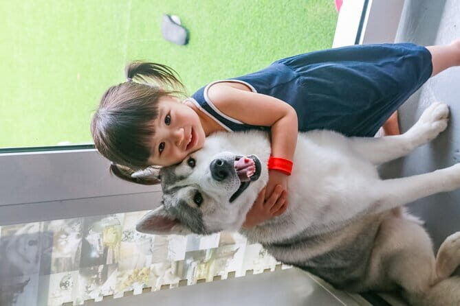Huskitory Connecting People and Dogs - What you’ll actually enjoy: affection, cleanliness, and staff who manage the mood