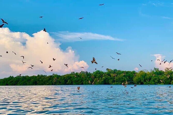 Instagrammable Kuala Selangor Sky Mirror Tour with Transfer - Sekinchan Paddy Field stop: more than pretty rice scenery