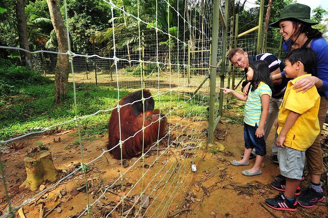 Ipoh Private Day Trip from Kuala Lumpur with Lunch - Start of the Day: Orang Utan Island Boat Time (About 1 Hour)