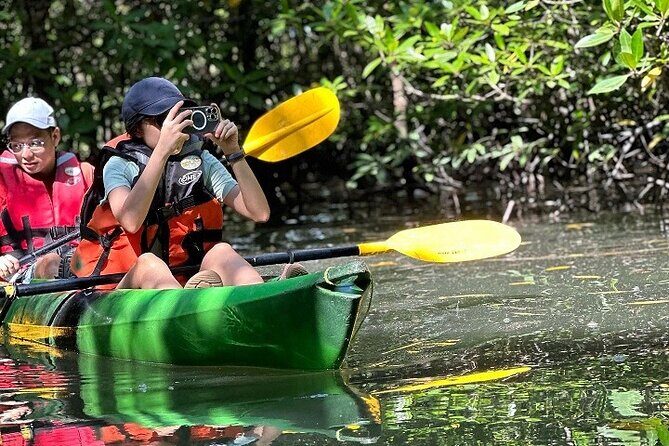 Kayaking Kilim Mangrove Geoforest - Fish farm + floating restaurant lunch: where the learning happens