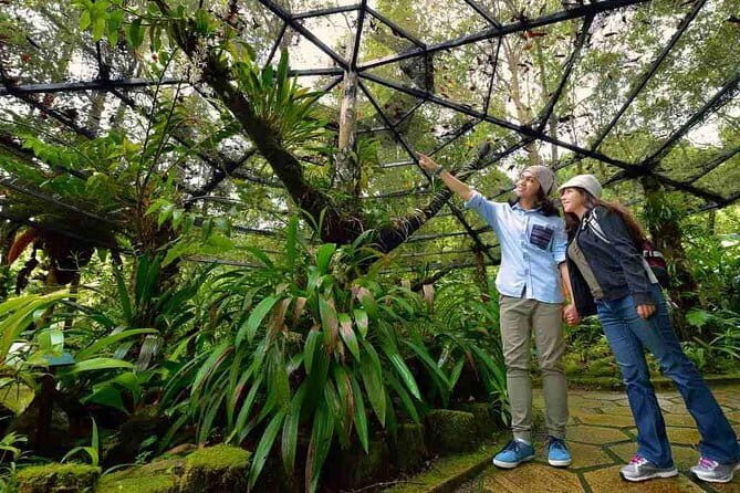 Kinabalu National Park Tour - Key highlights at a glance