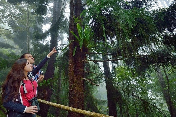 Kinabalu National Park Tour - A one-day loop from Kota Kinabalu to Kinabalu Park