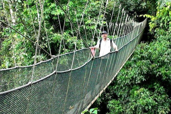 Kinabalu National Park Tour - First stop energy: Kota Kinabalu, a fruit market break, and early momentum
