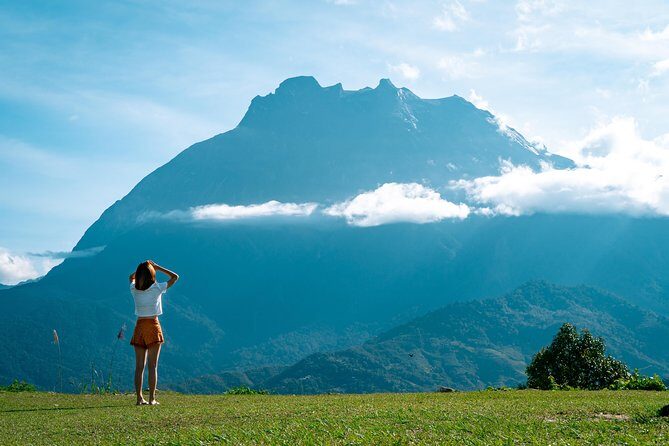 Kinabalu Park & Poring Hot Spring & Canopy Walk - Price and value: why $125.88 can feel fair