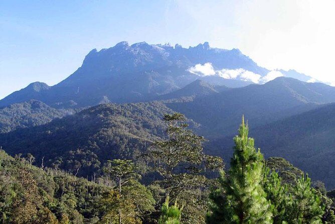 Kinabalu Park & Poring Hot Spring Tour - Key Highlights Worth Getting Excited About