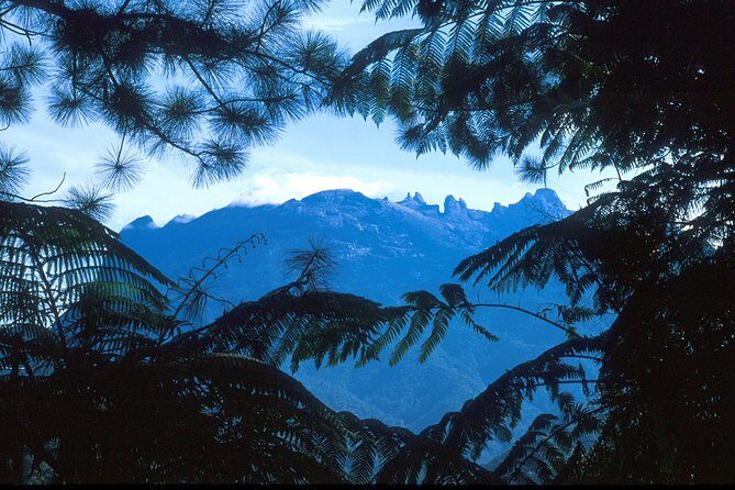 Kinabalu Park & Poring Hot Spring Tour - The Rafflesia Chance En Route (And Why It’s Not Guaranteed)