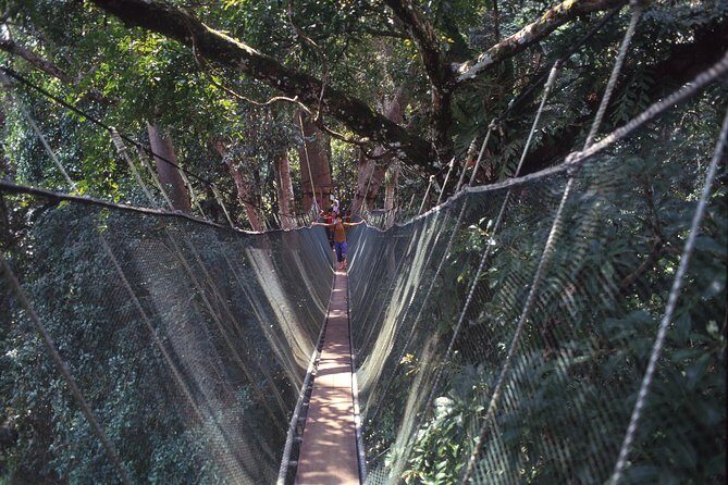 Kinabalu Park & Poring Hot Spring Tour - Price and Logistics: Is $78 Good Value?